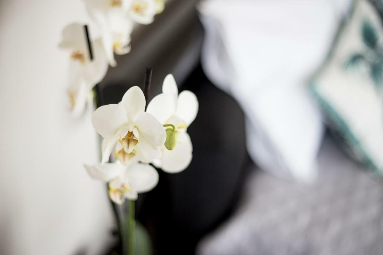 "Sea View"Loft Apartment วิลาโดคันด์ ภายนอก รูปภาพ