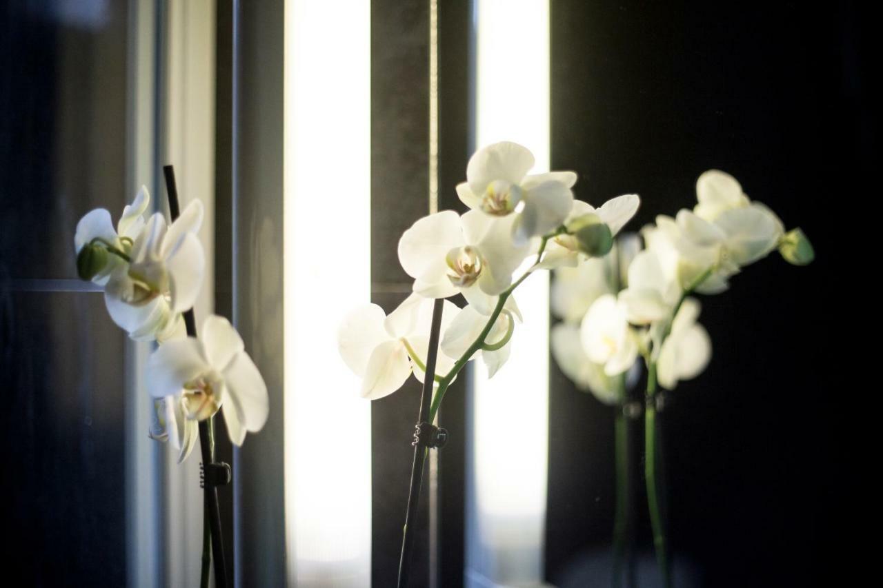 "Sea View"Loft Apartment วิลาโดคันด์ ภายนอก รูปภาพ